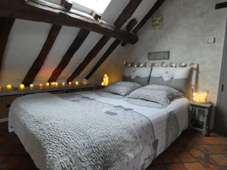 Maison De Charme Pres De Beauval Saint-Cyran-du-Jambot Extérieur photo